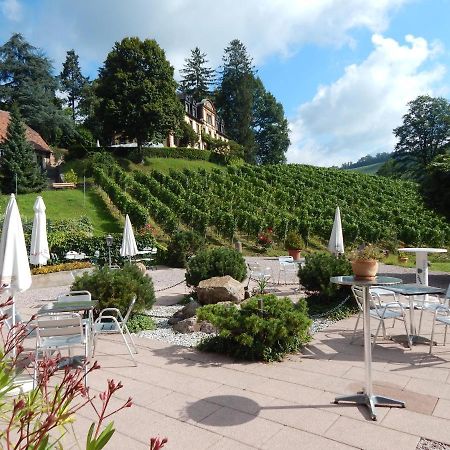 Wein Lodge Durbach - Gruppenhaus Weingut Neveu Exteriér fotografie