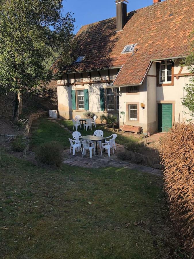 Wein Lodge Durbach - Gruppenhaus Weingut Neveu Exteriér fotografie